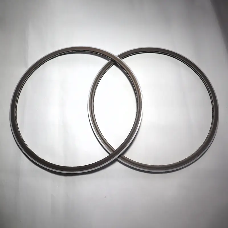 End Flange Spring Energized Seals