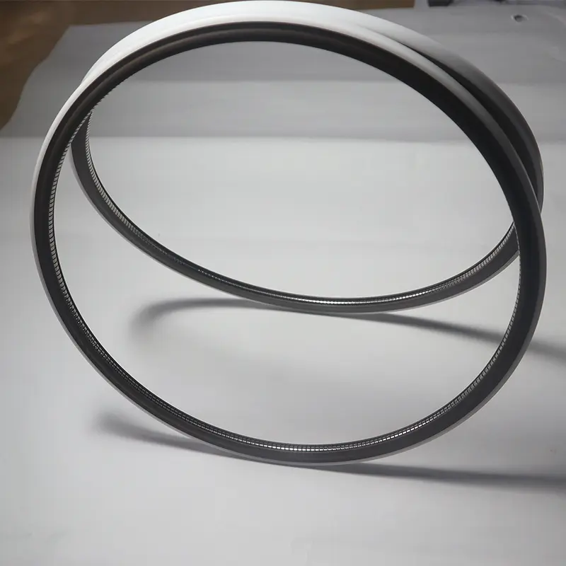 End Flange Spring Energized Seals