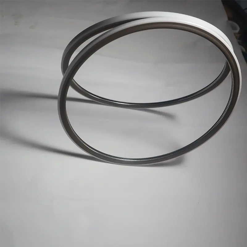 End Flange Spring Energized Seals