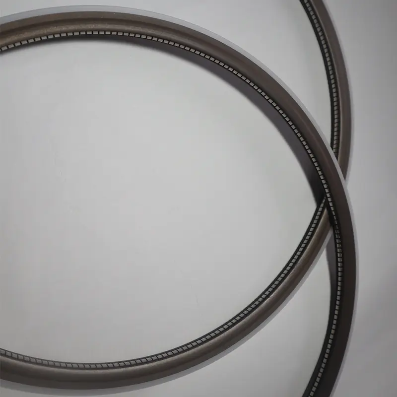 End Flange Spring Energized Seals