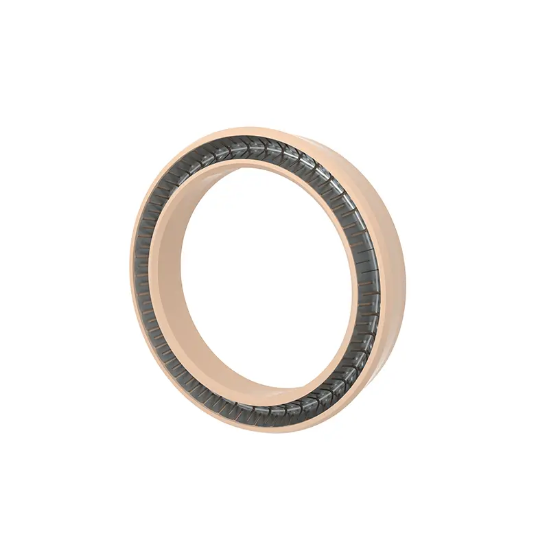 End Flange Spring Energized Seals