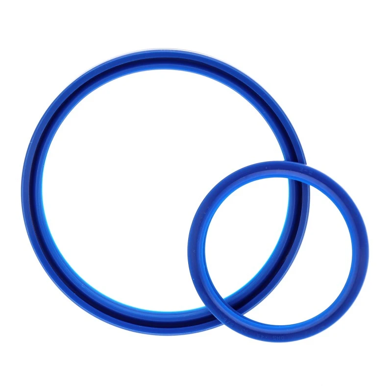 Klaasipuhasti tihend DHS